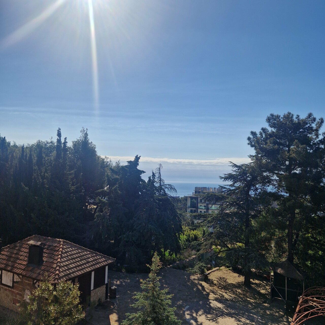 Гостиница Дарсан Ялта-125