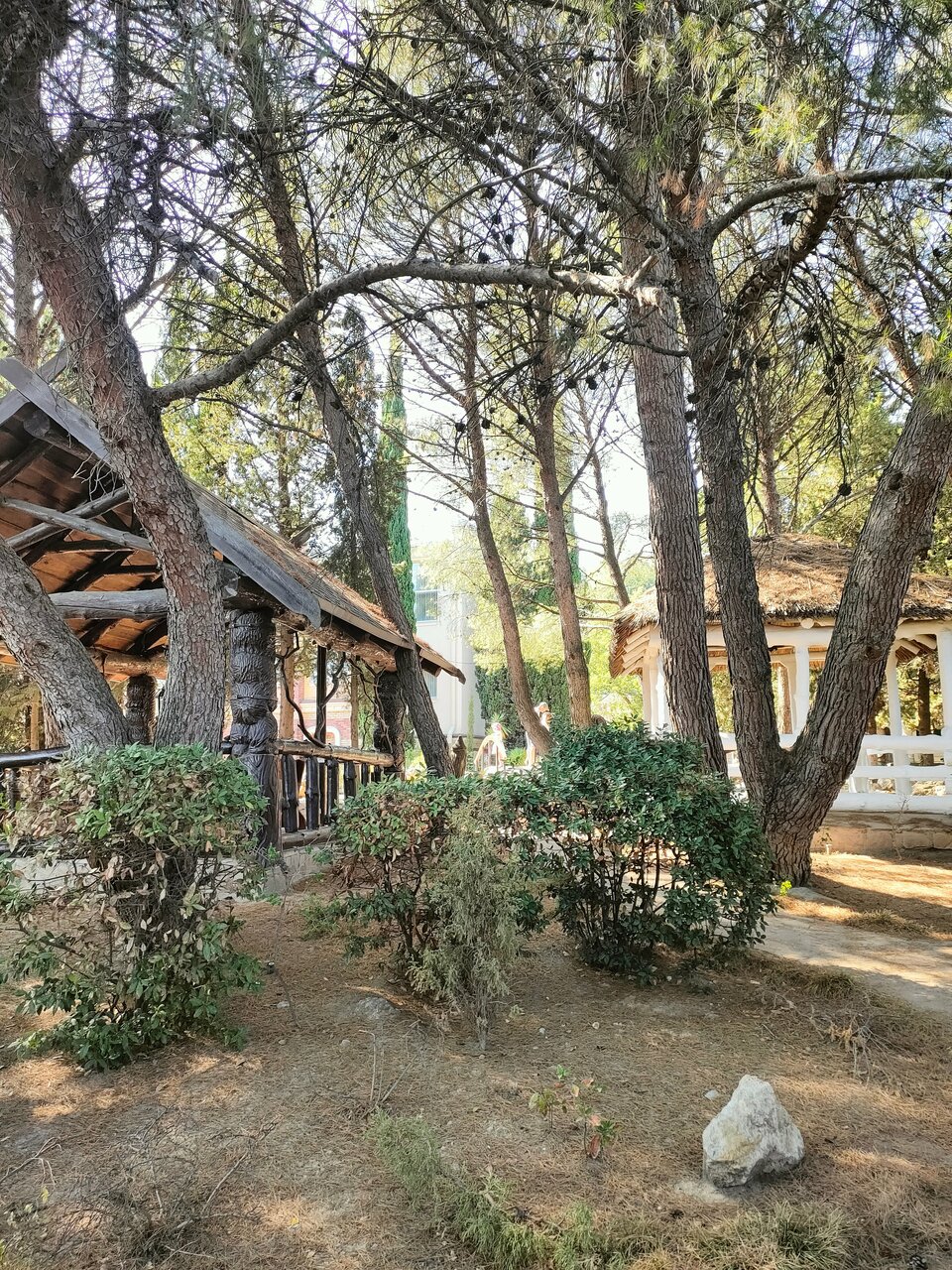 Гостиница Дарсан Ялта-121