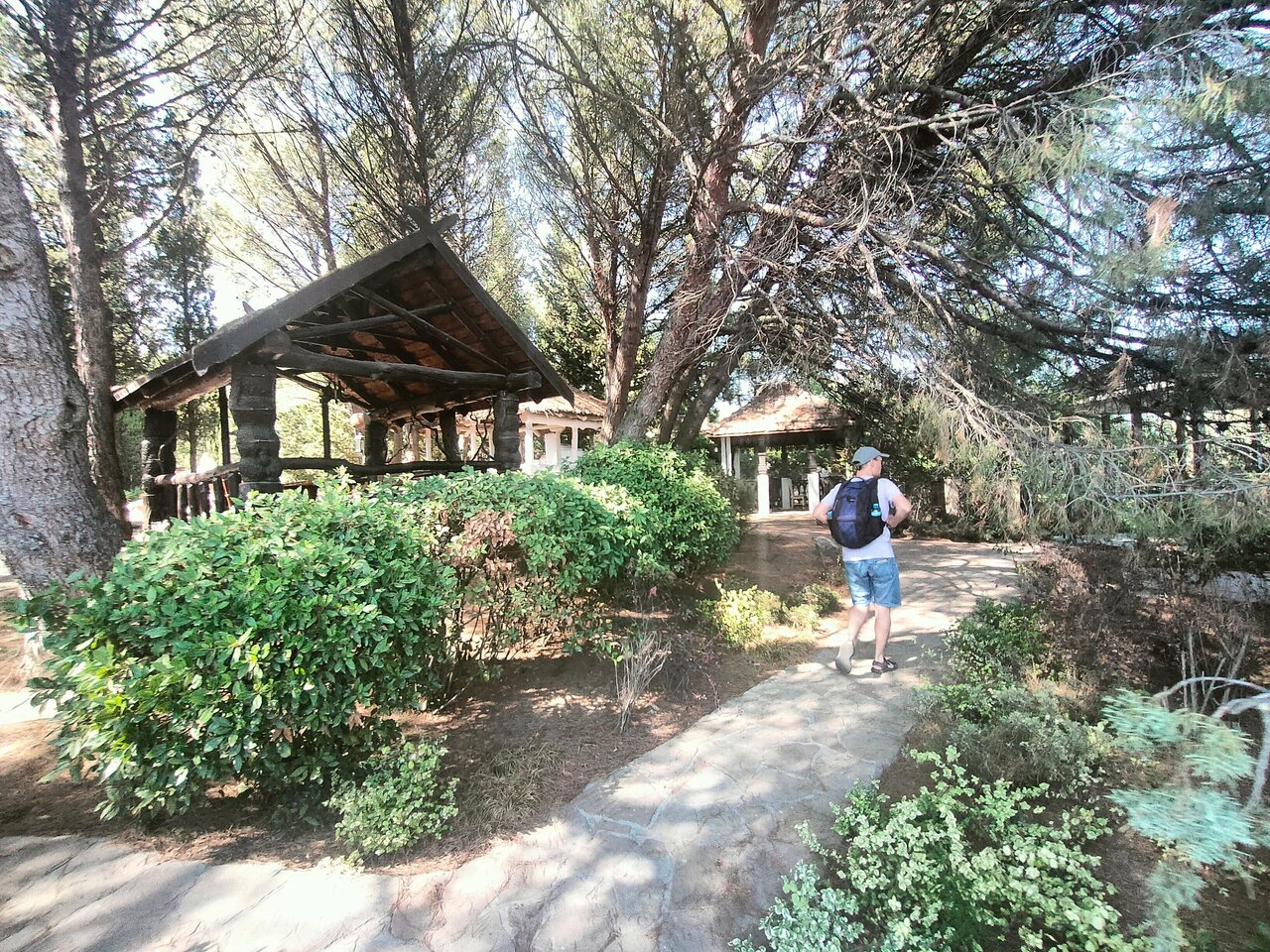 Гостиница Дарсан Ялта-138