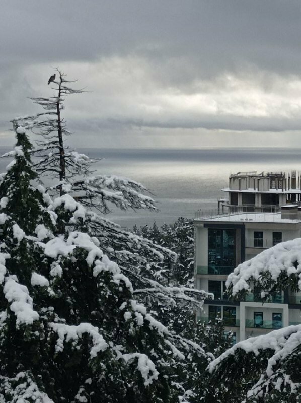 Гостиница Дарсан Ялта-116