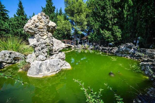 Гостиница Дарсан Ялта-68