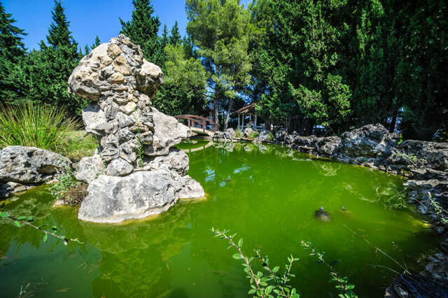 Гостиница Дарсан Ялта-42