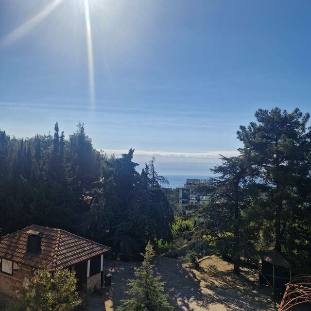 Гостиница Дарсан Ялта-124