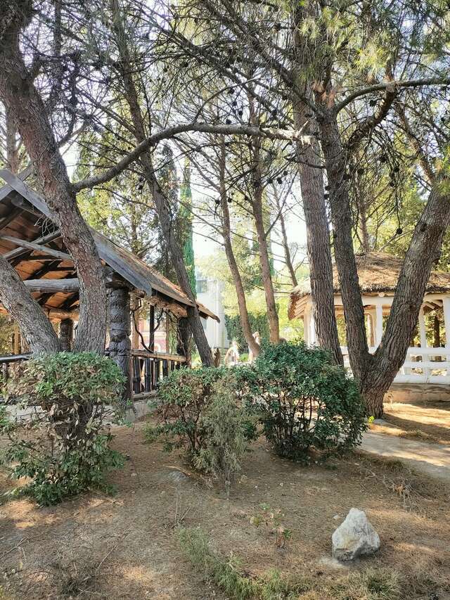 Гостиница Дарсан Ялта-120