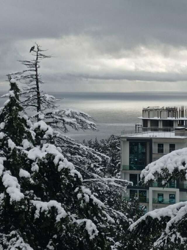 Гостиница Дарсан Ялта-115